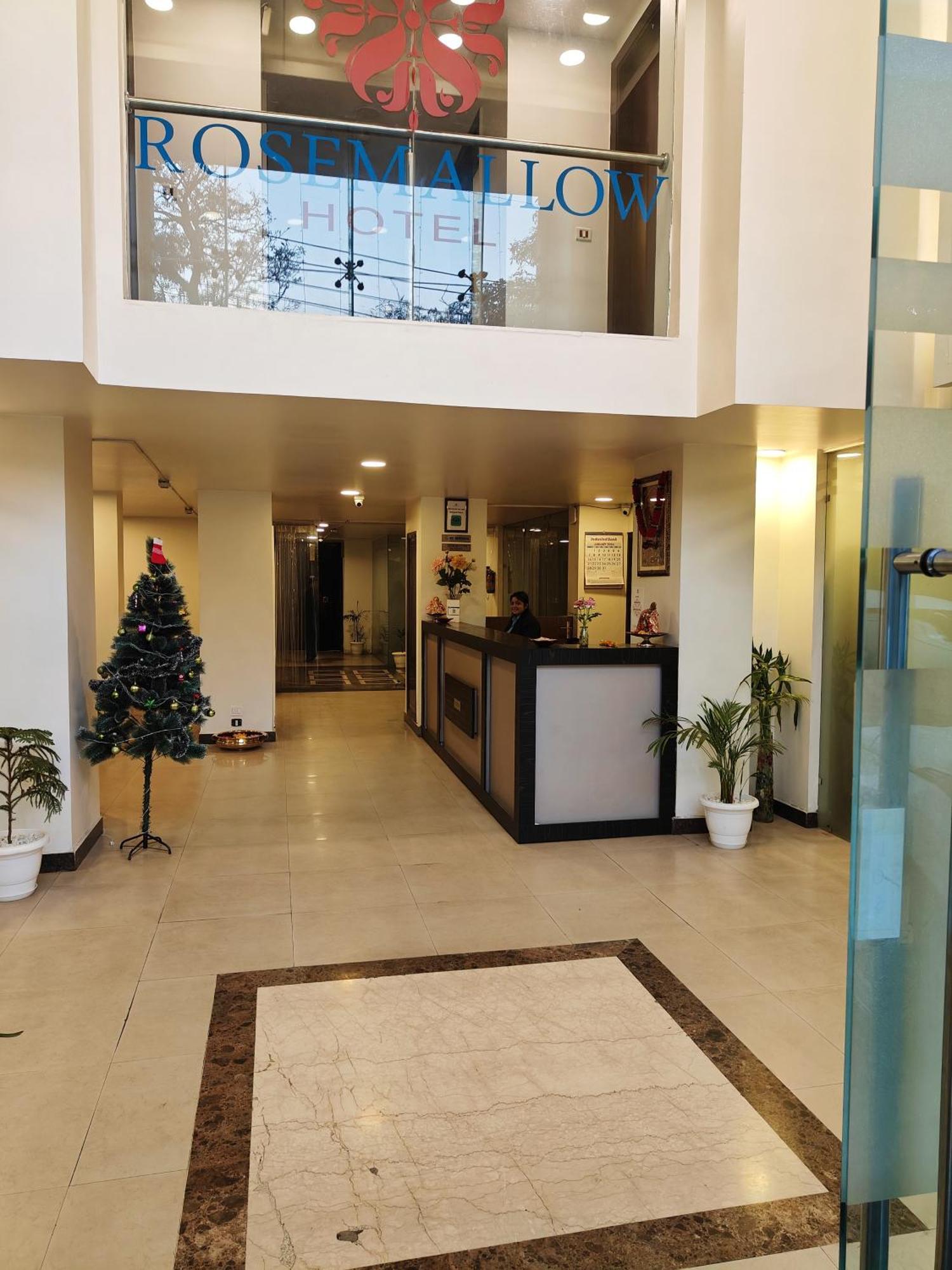 Rosemallow Hotel 뉴델리 외부 사진